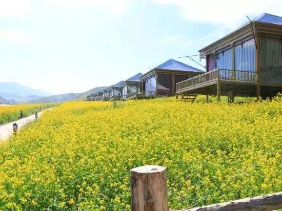 園林綠化栽植之後要開展什麽養護措施? 園林綠化栽植之後要開展什麽養護措施?