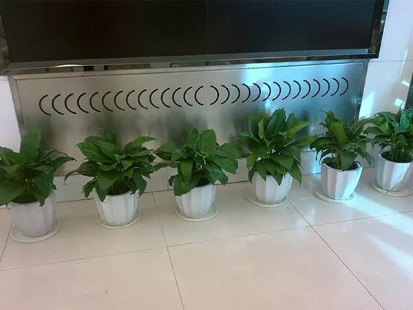 廣州綠植租擺支付費用以後就不需要護理瞭嗎？