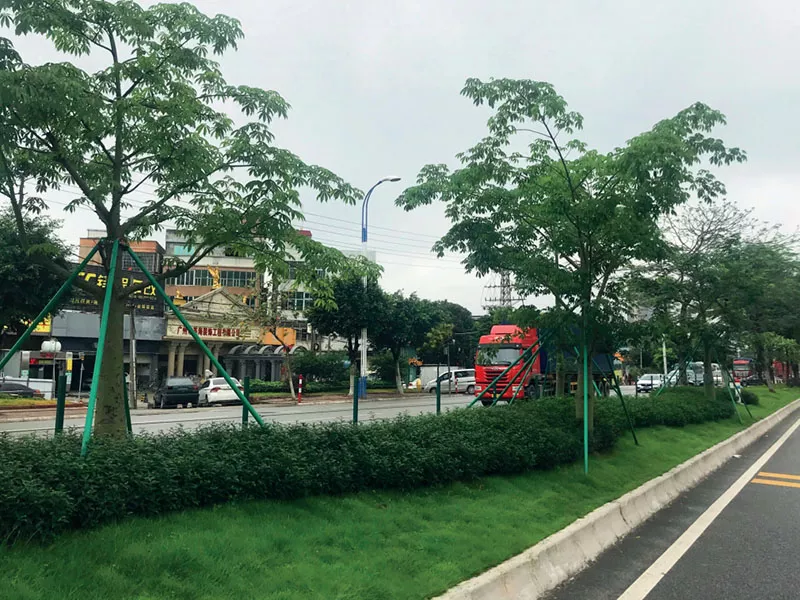 105國(guó)道(石壁段)綠化升級(jí)改造項目