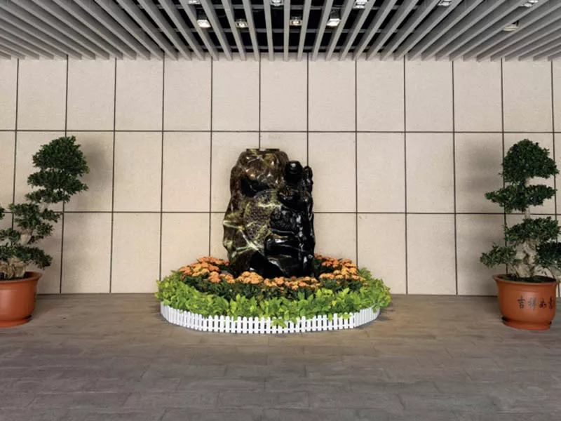 廣發(fā)銀行股份有限公司室内綠化植物租擺(bǎi)服務項目