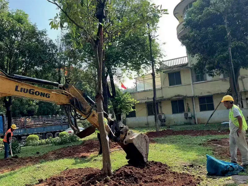 廣東省黃村體育訓練中心